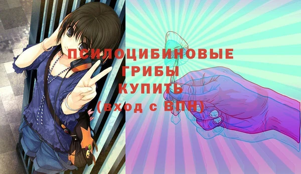 стафф Алексин