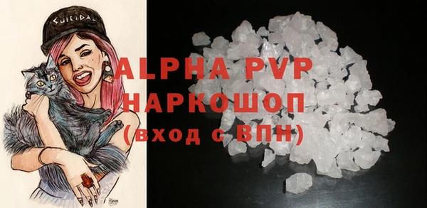 стафф Алексин
