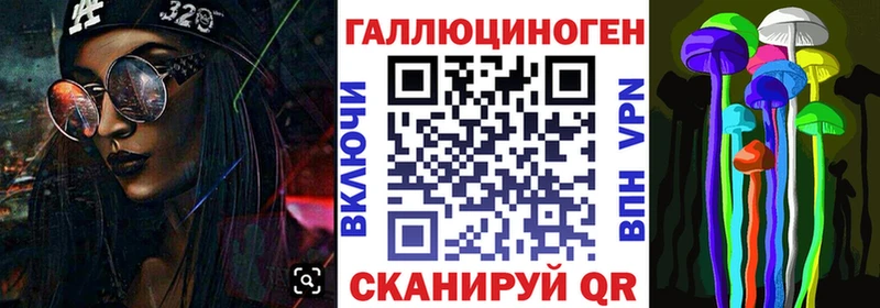 купить наркотик  Зверево  Галлюциногенные грибы Psilocybe 