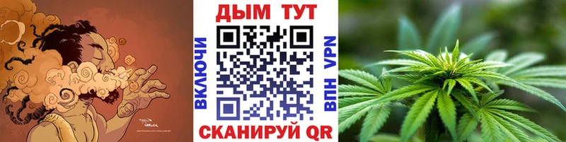 Канабис план  купить закладку  Зверево 